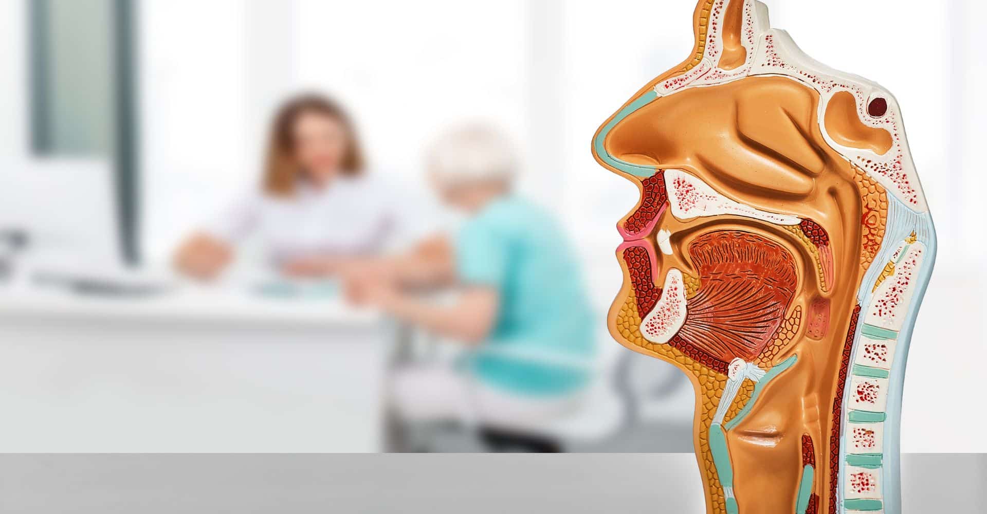 Otorhinolaryngology (ENT)